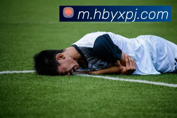 新葡京娱乐平台生态图